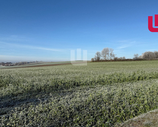 WINDISCH IMMOBILIEN - Landwirtschaftliche Fläche nähe Mittelstetten - Mittelstetten / Tegernbach