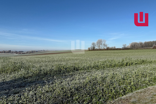 Ackerfläche - WINDISCH IMMOBILIEN - Landwirtschaftliche Fläche nähe Mittelstetten