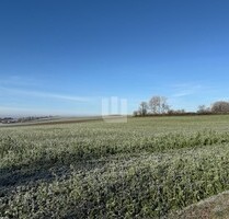 WINDISCH IMMOBILIEN - Landwirtschaftliche Fläche nähe Mittelstetten - Mittelstetten / Tegernbach