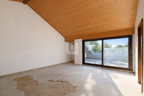 Dachstudio - Einliegerwohnung - 