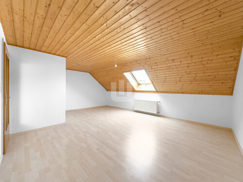 Dachstudio - 