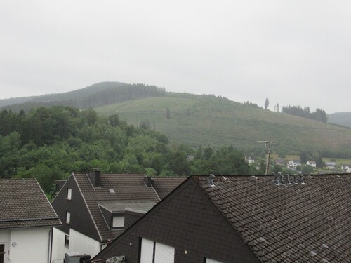 Ausblick - 