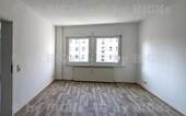 Zimmer3 - 
