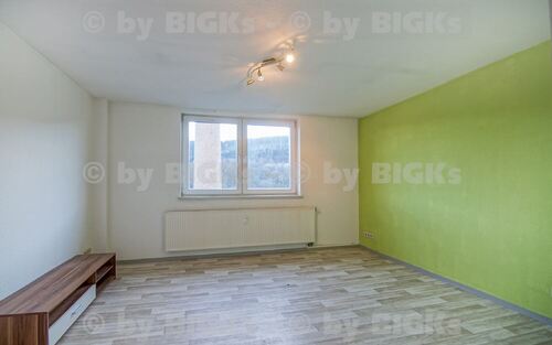 Wohnraum - BIGKs - Zella-Mehlis: 4 Zimmer Wohnung,separate Küche, Wannenbad (-;)