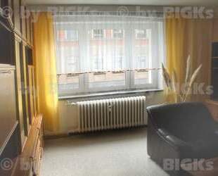 BIGKs - Chemnitz: Möblierte 2-Raumwohnung,separate Küche,Garten (-;)