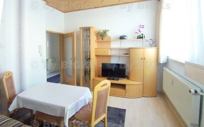 wohnraum - BIGKs - Rudolstadt - möblierte 2-Zimmer Wohnung,sep.Küche,Duschbad (-;)
