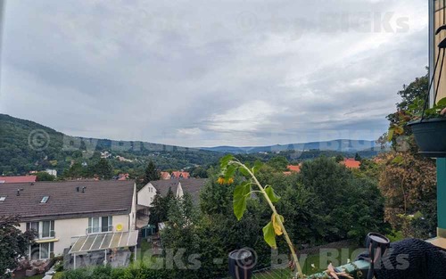Aussicht1 - 4 Zimmer Etagenwohnung zur Miete in Suhl