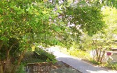 Hofseite - 