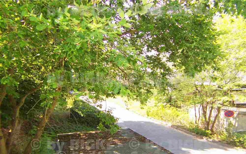 Hofseite - 