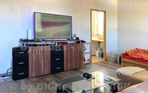 Wohnraum1 - BIGKs - Suhl: 1 Raum Wohnung, sep. Küche und Balkon (-;)