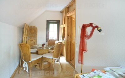 zimmer3 - 