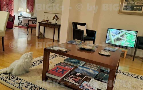 Detail-moeblierte -Wohnung - 3- Zimmerwohnung mit 120,00 m² in Halle zur Miete