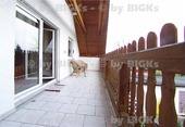Balkon - 2 Zimmer 2- Zimmerwohnung zur Miete in Halle