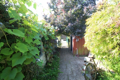 Zugang Haus - 