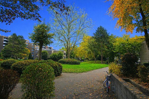 Blick Haustür in Anlage - 