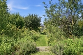 EG_Garten - 