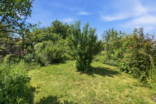EG_Garten - 
