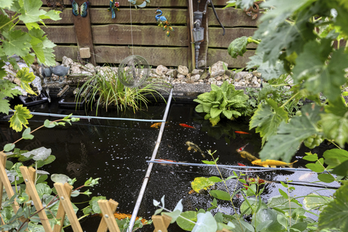 Garten 3 - 