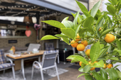 Garten 5 - 