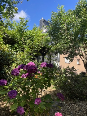 Sommerbild - 