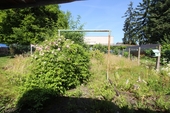 EG_Garten - 
