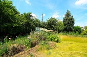 Garten3 - 