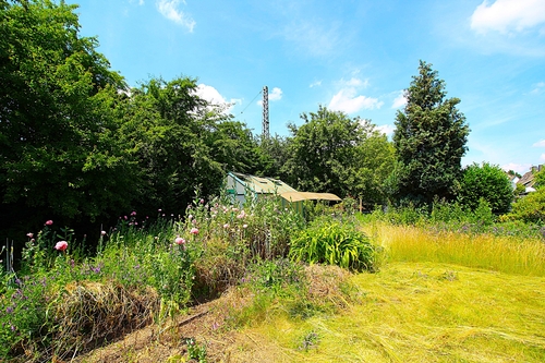 Garten3 - 