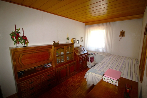 Zimmer EG1 - 
