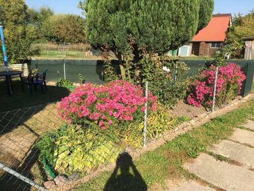 Garten - 