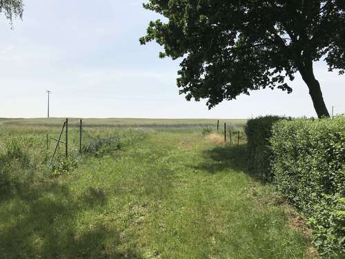 weiter Blick - 