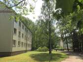 IMG_8001.jpg1 - 