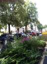 Blick von der Haustür nach rec - 