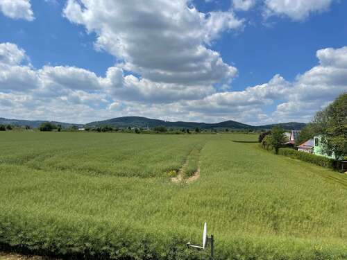 Weitblick 01 - 