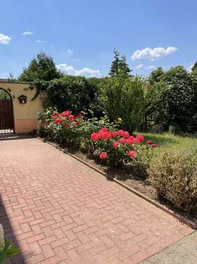 Höhnstedt Umgebung 01 - 