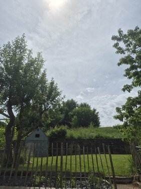 Foto - 