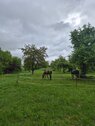 Foto - Einfamilienhaus mit 103,00 m&sup2; in Werther zum Kaufen