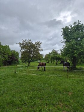 Foto - Einfamilienhaus mit 103,00 m&sup2; in Werther zum Kaufen
