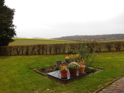 Blick in den Garten - 6 Zimmer Bungalow in Schauenburg