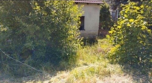 Foto - 5 Zimmer Einfamilienhaus in Haselbach