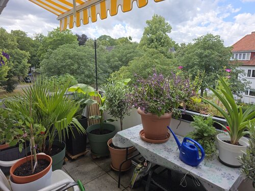 Foto - Etagenwohnung mit 68,00 m² in Kassel zum Kaufen