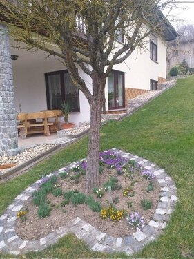 Foto - 5 Zimmer Einfamilienhaus in Sondershausen