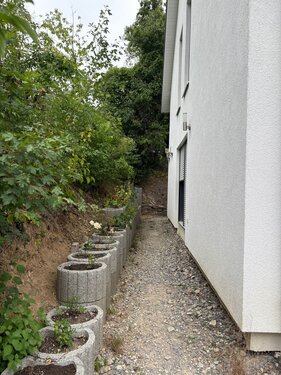 Foto - 4 Zimmer Einfamilienhaus in Höxter