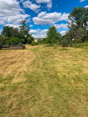 Foto - 7 Zimmer Einfamilienhaus in Unstrut Hainich