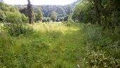 Foto - Grundstück in Bad Lauterberg zum Kaufen