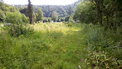 Foto - Grundstück in Bad Lauterberg zum Kaufen