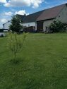 Foto - 5 Zimmer Einfamilienhaus in Nauroth