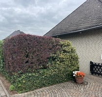 ca.&nbsp; 202,00&nbsp;m&sup2;&nbsp;Wohnfl&auml;che in Dormagen (PLZ: 41540) Hackenbroich