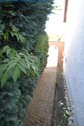 Seitansicht Zugang 1 - 