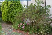 Garten weiteres Bild - 