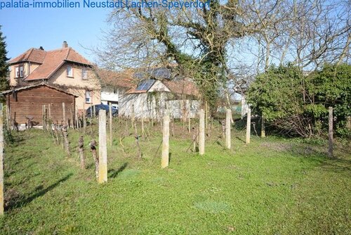 DSC 5365 - 8 Zimmer 5.5 oder mehr zum Kaufen in Bornheim